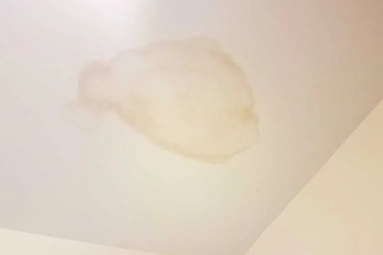 manchas de humedad en el techo