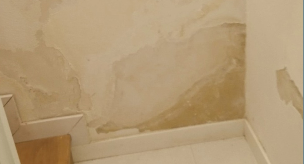 Soluciones efectivas para humedades y problemas respiratorios.