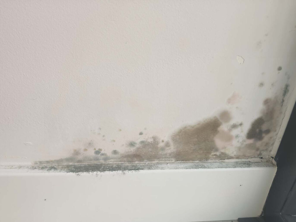 pared afectada por humedad en vivienda en Madrid