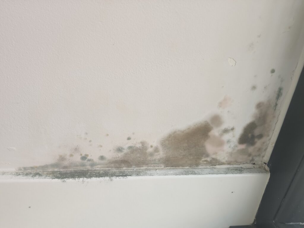 humedades por condensación en Getafe