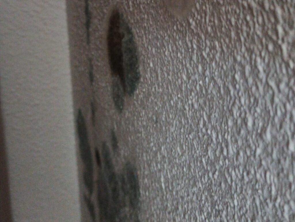 solución humedades en Alcorcón